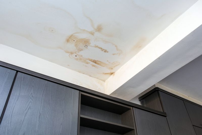Leaking Ceiling Repair in Santa Rosa, CA